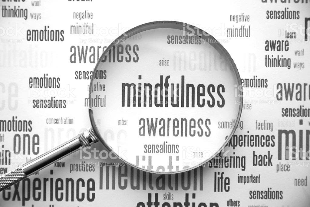 Can organisations leverage mindfulness training to reduce employee turnover?