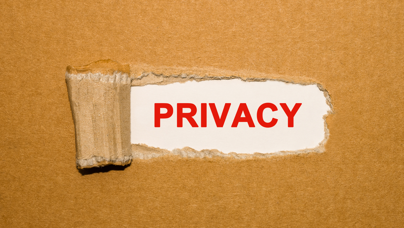 ‘Terms of Use’ & the privacy hot-button