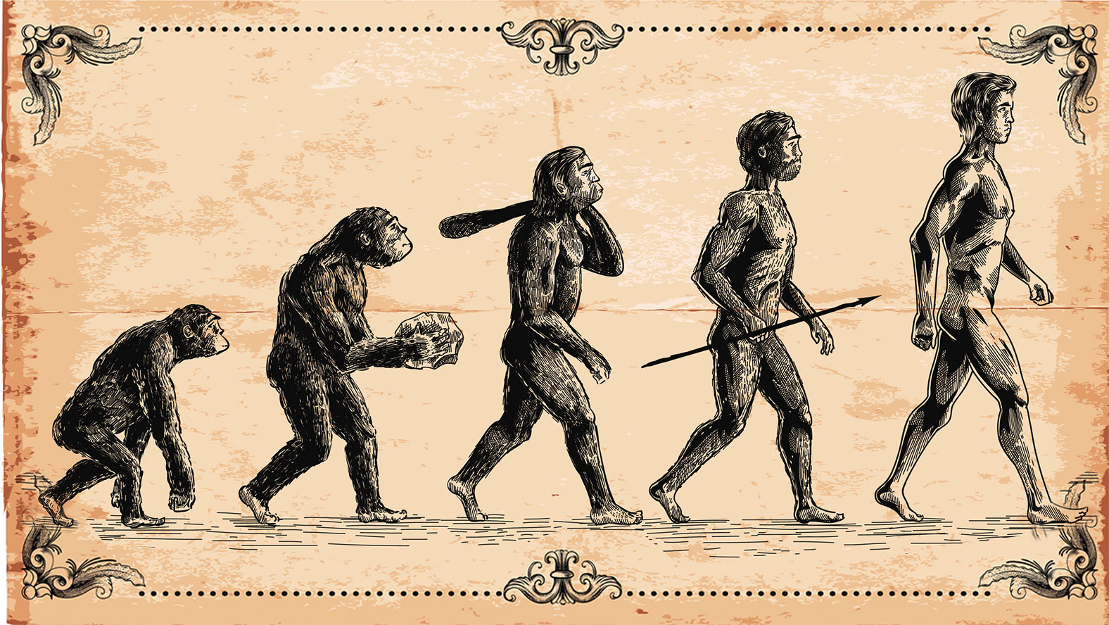 Evolutionary Mismatch - Implications for the Modern World