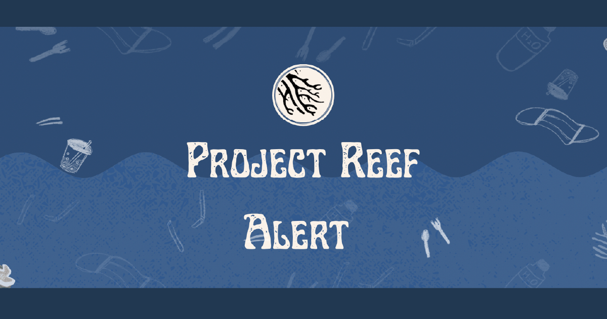 Project Reef Alerts is an Overseas Community Service Project that focuses on marine conservation and contributes to SMU’s sustainability efforts.