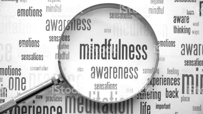 Can organisations leverage mindfulness training to reduce employee turnover?