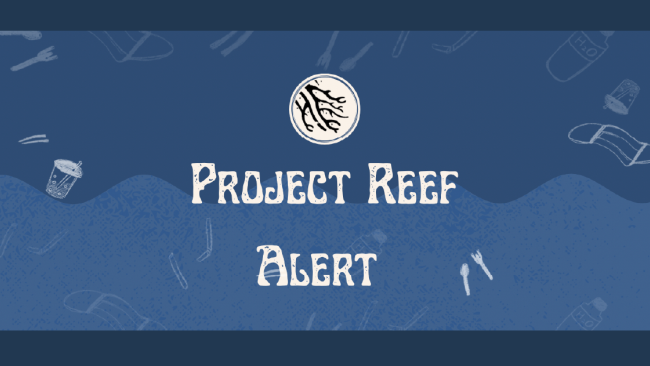 Project Reef Alerts is an Overseas Community Service Project that focuses on marine conservation and contributes to SMU’s sustainability efforts.