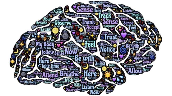 TY Lee Mindfulness Distinguished Lecture Series 2019. TY Lee Mindfulness Distinguished Lecture Series 2019.