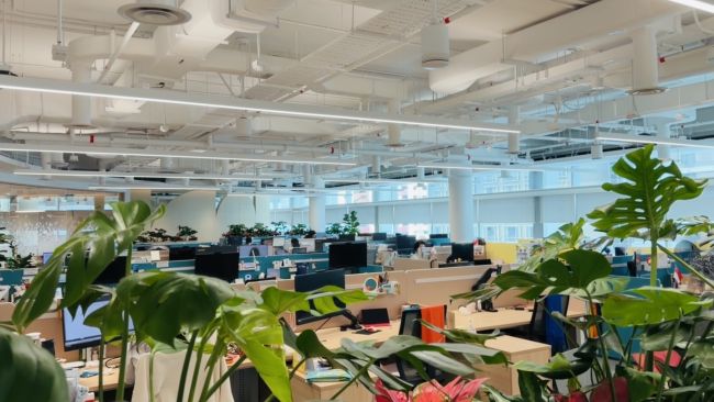 Rather than relying entirely on conventional air conditioning, SMU introduced a hybrid cooling system that combines it with ceiling fans to keep indoor temperatures at a comfortable 25.5°C. 